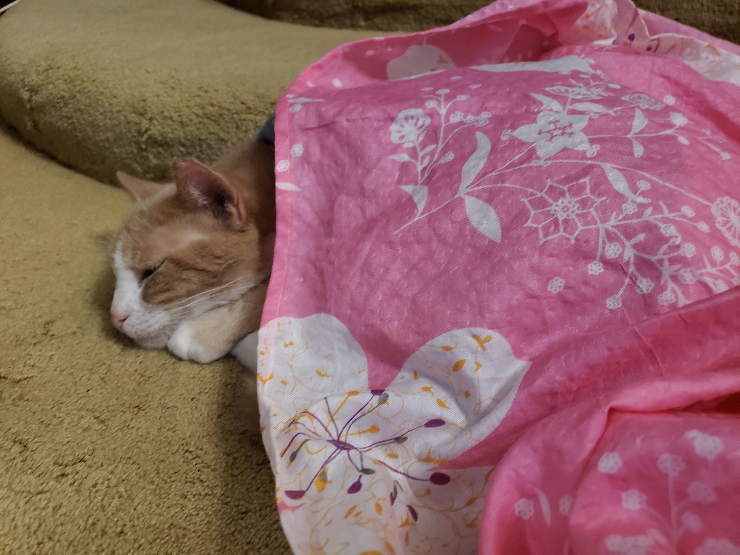 Korean Summer Blanket 808 Craft and Gift Fairs